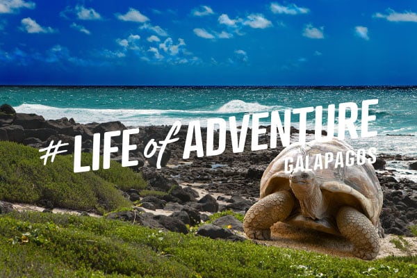 A Life of Adventure: find out more >>